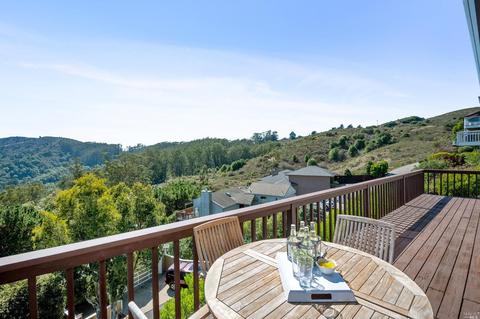 87 Skyline Ter, Mill Valley, CA 94941 photo 17