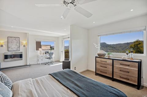 87 Skyline Ter, Mill Valley, CA 94941 photo 22