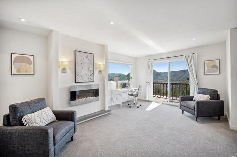 87 Skyline Ter, Mill Valley, CA 94941 photo 23