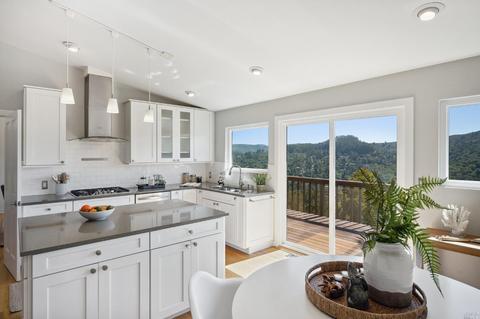 87 Skyline Ter, Mill Valley, CA 94941 photo 16