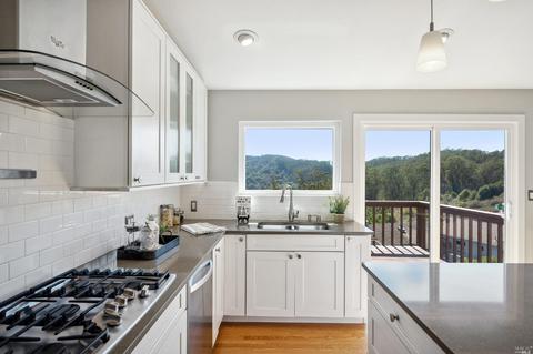 87 Skyline Ter, Mill Valley, CA 94941 photo 15