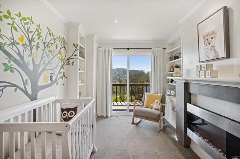 87 Skyline Ter, Mill Valley, CA 94941 photo 30