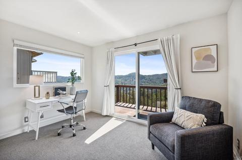 87 Skyline Ter, Mill Valley, CA 94941 photo 47