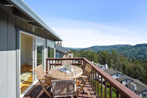 87 Skyline Ter, Mill Valley, CA 94941 photo 44
