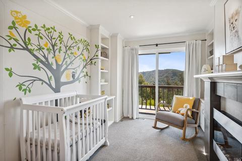 87 Skyline Ter, Mill Valley, CA 94941 photo 31
