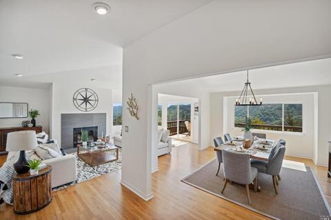 87 Skyline Ter, Mill Valley, CA 94941 photo 6