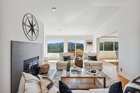 87 Skyline Ter, Mill Valley, CA 94941 photo 2