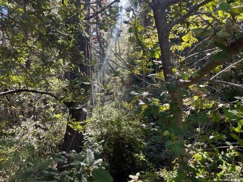 44007 Iversen Rd, Gualala, CA 95445