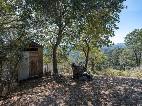 333 Hillside Ave, Mill Valley, CA 94941 photo 12