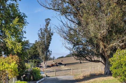 130 John St, Tomales, CA 94971 photo 79