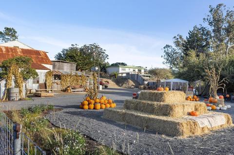 130 John St, Tomales, CA 94971 photo 80