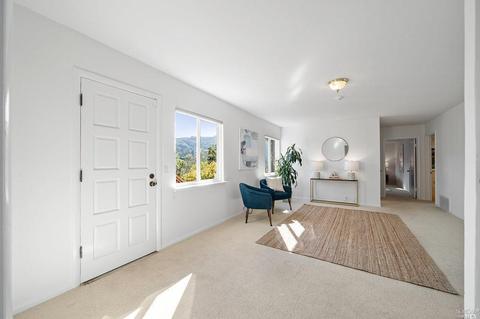40 Sunrise Ave, Mill Valley, CA 94941 photo 31