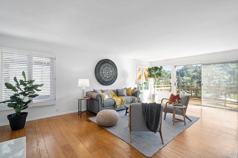 40 Sunrise Ave, Mill Valley, CA 94941 photo 9