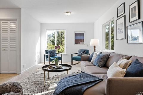 40 Sunrise Ave, Mill Valley, CA 94941 photo 27