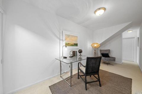 40 Sunrise Ave, Mill Valley, CA 94941 photo 33