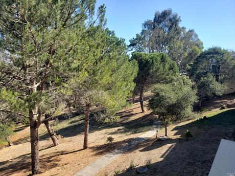9 Thoreau Cir, Mill Valley, CA 94941 photo 27