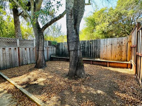 21 Palm Ave, Corte Madera, CA 94925 photo 17