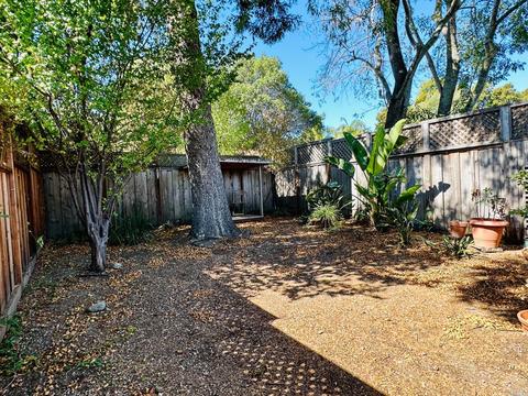 21 Palm Ave, Corte Madera, CA 94925 photo 10