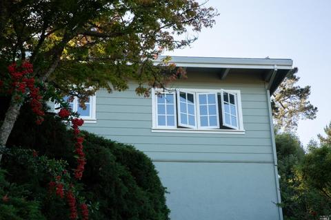 238 Perry St, Mill Valley, CA 94941 photo 18