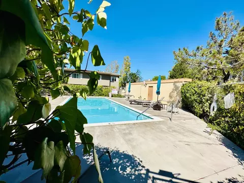 31 Reed Blvd #7, Mill Valley, CA 94941 photo 3