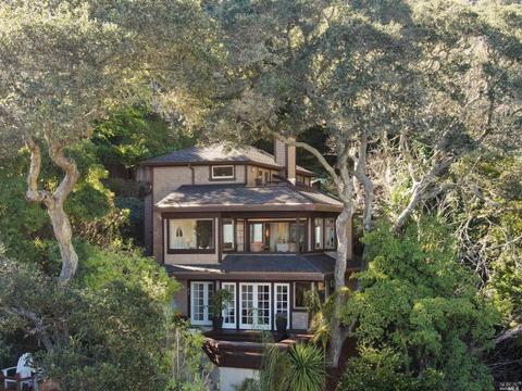 31 Central Ave, Sausalito, CA 94965 photo 98