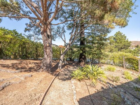 27 Azalea Dr, Mill Valley, CA 94941 photo 37