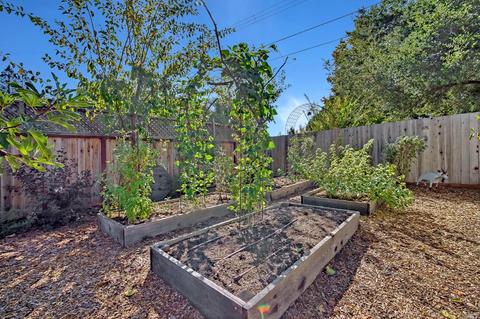 7511 Bodega Ave, Sebastopol, CA 95472 photo 30