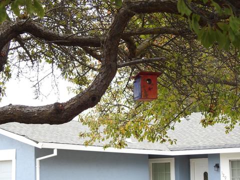 119 Doreen Ct, Vallejo, CA 94589 photo 7