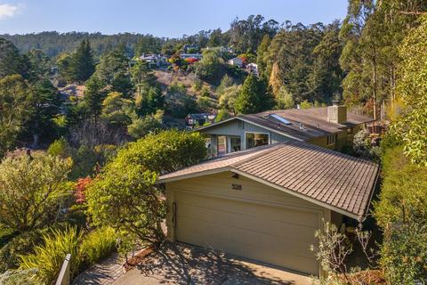 528 Midvale Way, Mill Valley, CA 94941 photo 68