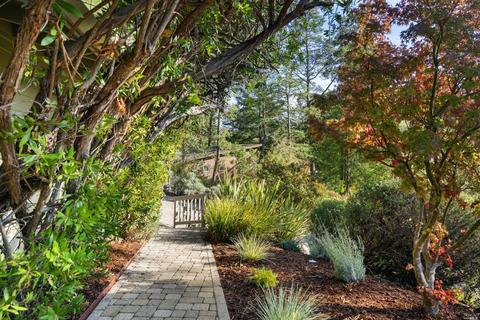 528 Midvale Way, Mill Valley, CA 94941 photo 8