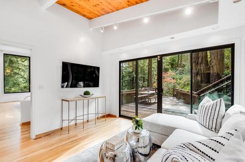 75 Magee Ave, Mill Valley, CA 94941 photo 12