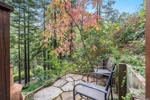 75 Magee Ave, Mill Valley, CA 94941 photo 32