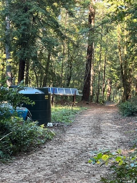 15185 Bittner Rd, Occidental, CA 95465 photo 50