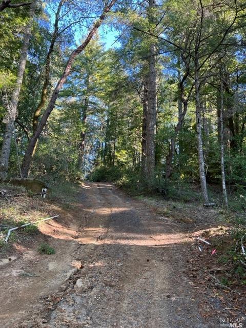 15185 Bittner Rd, Occidental, CA 95465 photo 47