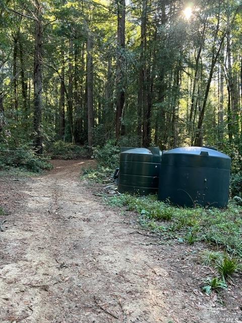 15185 Bittner Rd, Occidental, CA 95465 photo 54