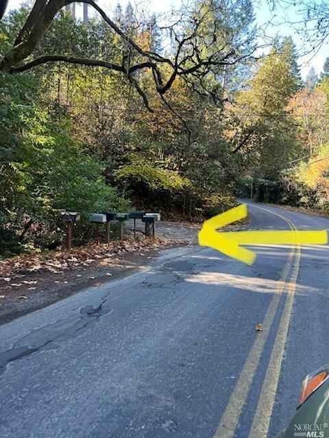 15185 Bittner Rd, Occidental, CA 95465 photo 43