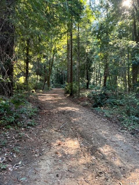 15185 Bittner Rd, Occidental, CA 95465 photo 52