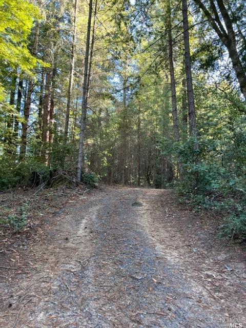 15185 Bittner Rd, Occidental, CA 95465 photo 53
