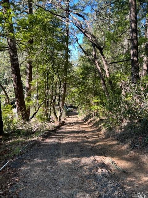15185 Bittner Rd, Occidental, CA 95465 photo 46