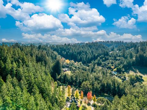 15185 Bittner Rd, Occidental, CA 95465 photo 57
