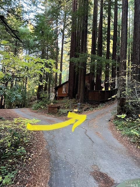 15185 Bittner Rd, Occidental, CA 95465 photo 45