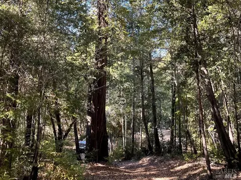 5 High Low Rd, Annapolis, CA 95412
