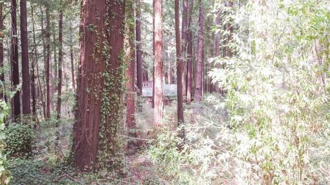 15207 Bittner Rd, Occidental, CA 95465 photo 11