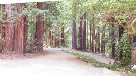 15207 Bittner Rd, Occidental, CA 95465 photo 15