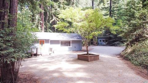 15207 Bittner Rd, Occidental, CA 95465 photo 24