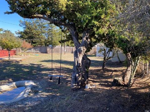 4715 Bodega Ave, Petaluma, CA 94952 photo 38