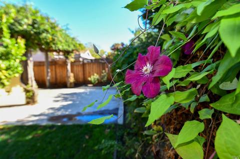 174 Espana Way, Windsor, CA 95492 photo 31