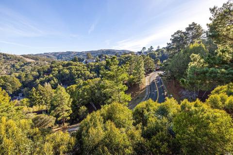 320 Deertrail Ln, Mill Valley, CA 94941 photo 16