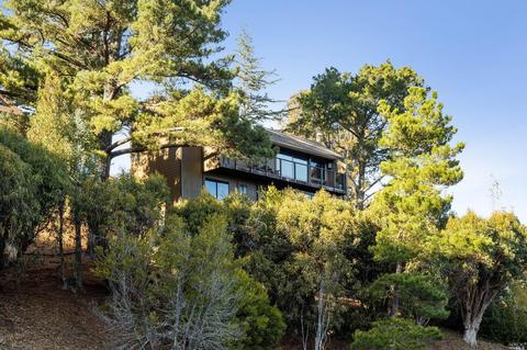 320 Deertrail Ln, Mill Valley, CA 94941 photo 38