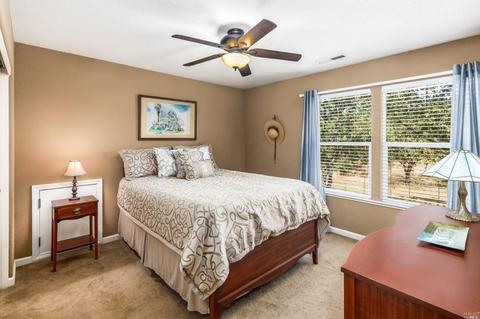 325 Maiden Ln, Windsor, CA 95492 photo 23